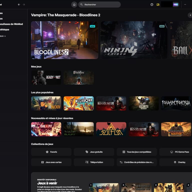 Patch pour WeMod (Pro) : mods & trainers pour jeux PC